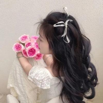 生命骑士